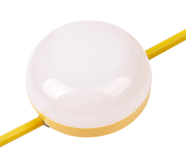 Single string light diffused lens and power cord on a white background.